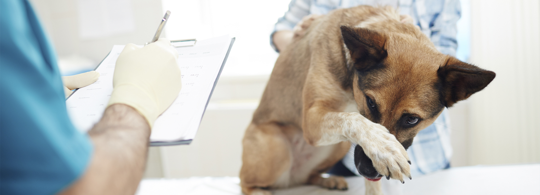 Forms & FAQ LA Quality Pet Care